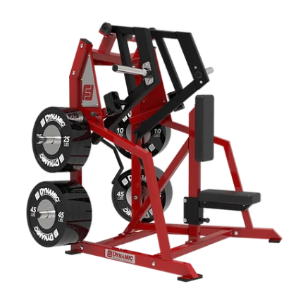 Dynamic Bilateral Low Row